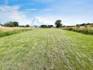 Garden- click for photo gallery